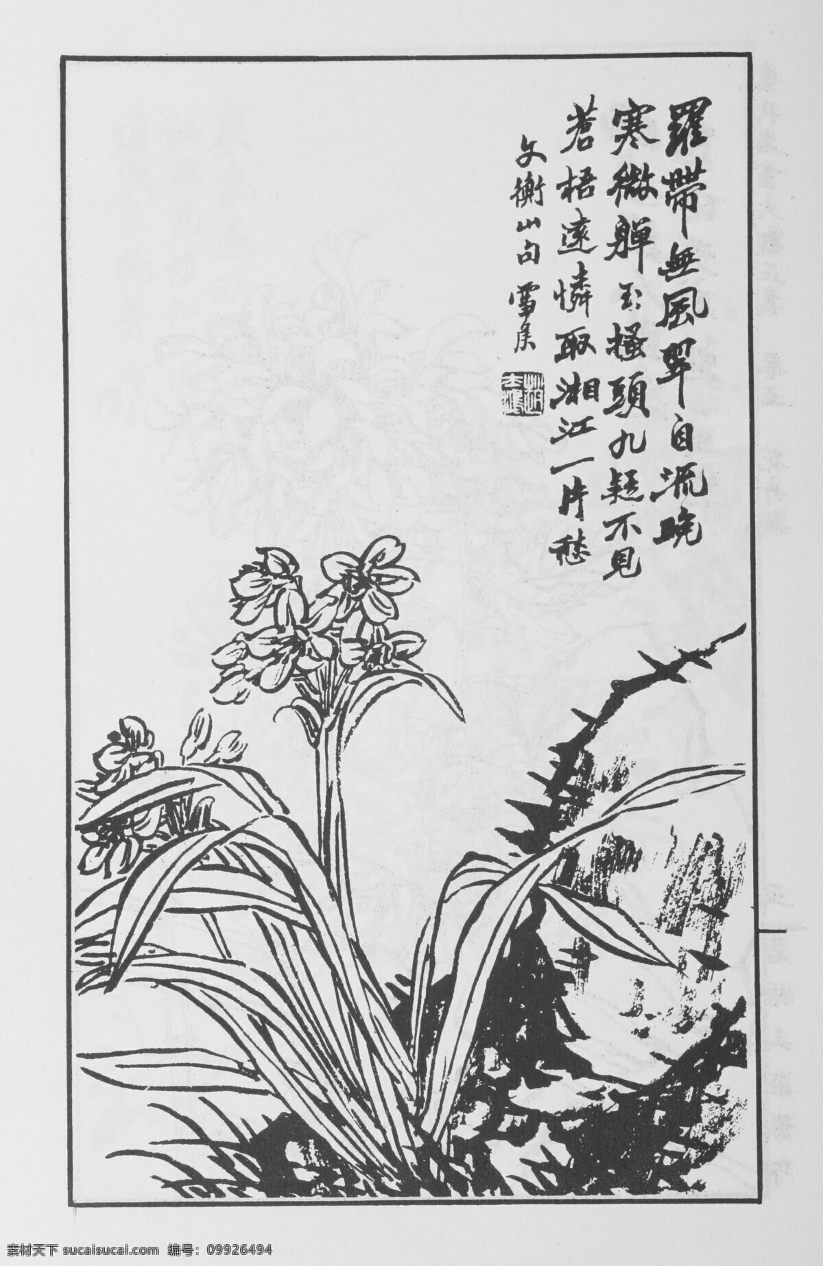 花卉画 中国画 当代 名画 大观 正 集 85 设计素材 花鸟画篇 中国画篇 书画美术 白色