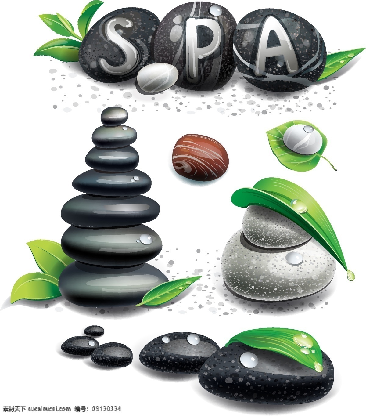 美丽 鹅卵石 矢量 spa 石头 星光 叶 植物 美丽的 露 滴 脉 矢量图 其他矢量图