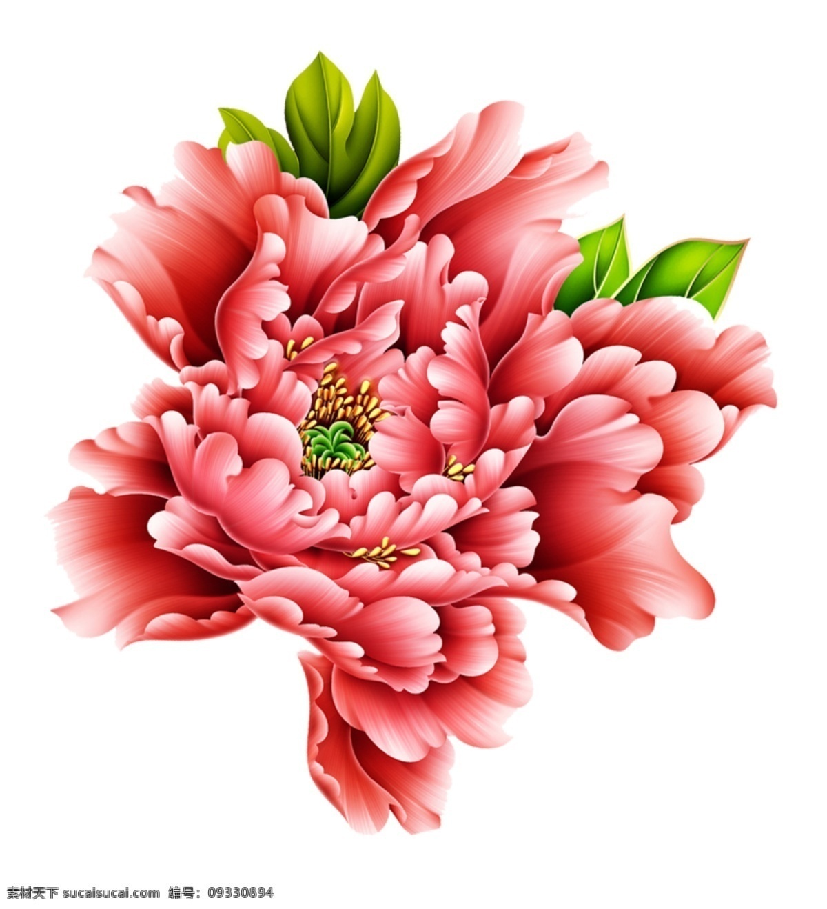 牡丹花 大牡丹 酒盒上的牡丹 红牡丹 粉牡丹 国花 白色