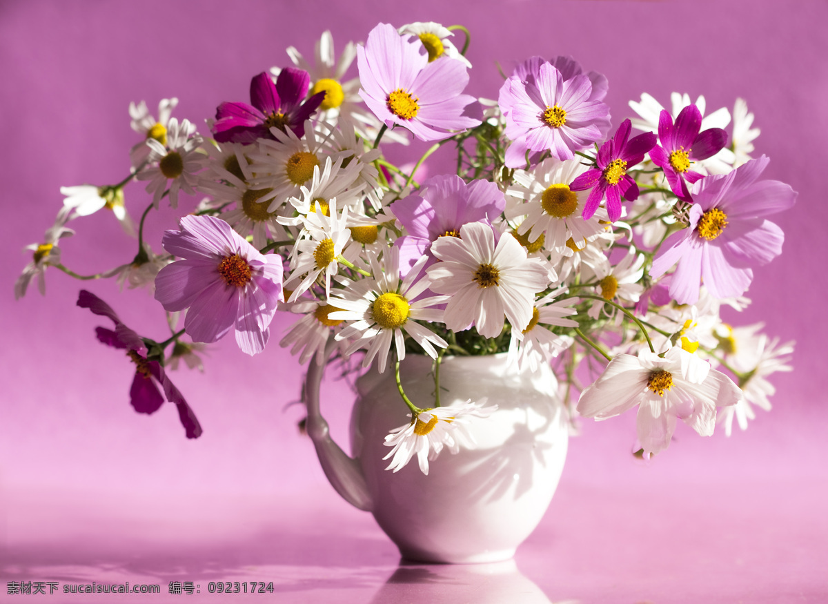 美丽 花朵 花瓶 美丽鲜花 漂亮花朵 花卉 鲜花摄影 花草树木 生物世界