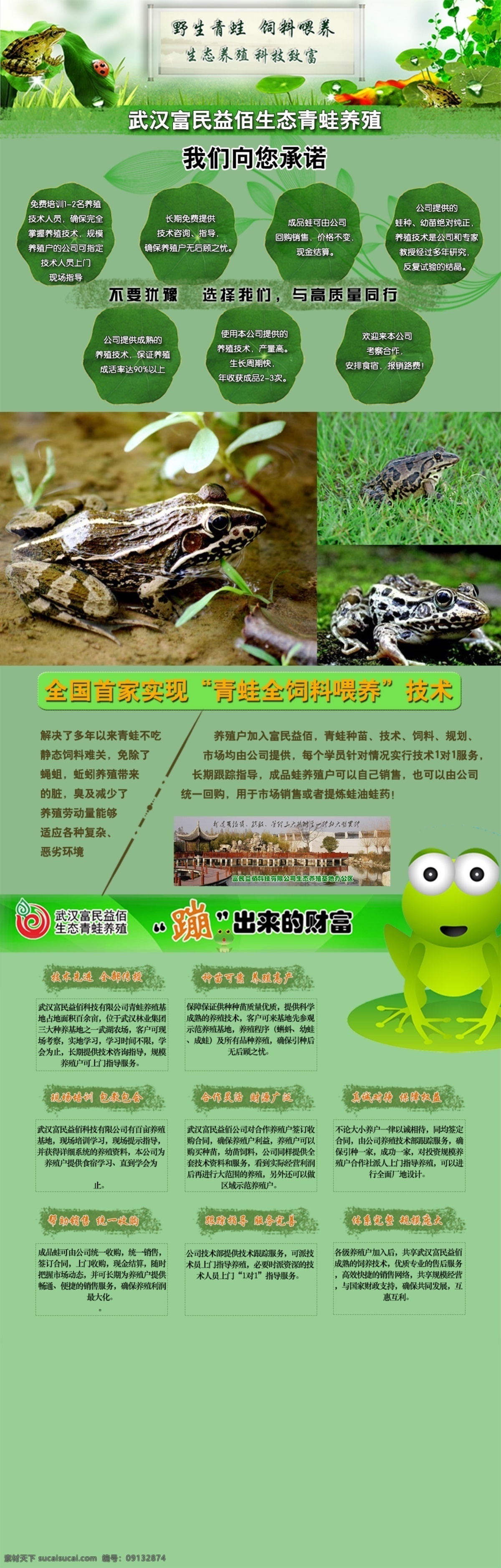 富民 益 佰 青蛙 养殖 海报 绿色海报 青蛙养殖 富民益佰 原创设计 原创海报