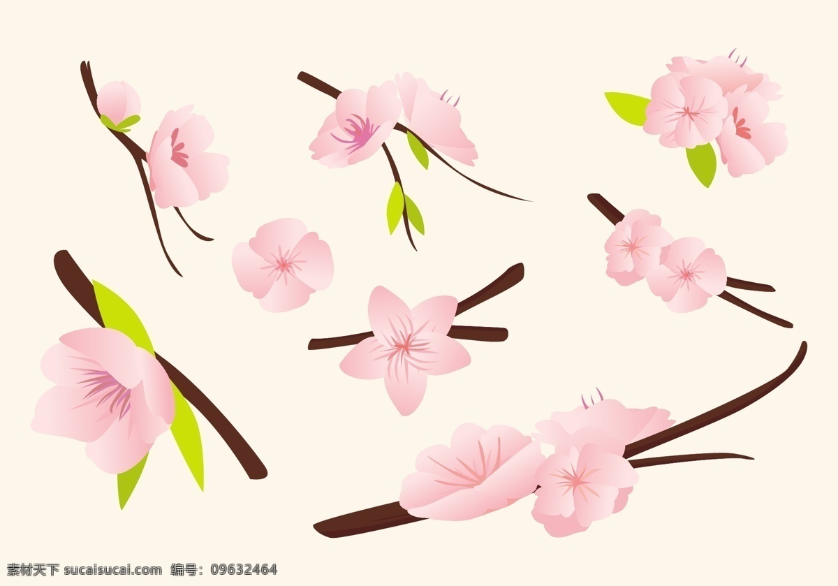 精致 粉色 桃花 立春 元素 春天 花 花瓣 花朵 花蕊 花枝 精美 卡通 立春元素