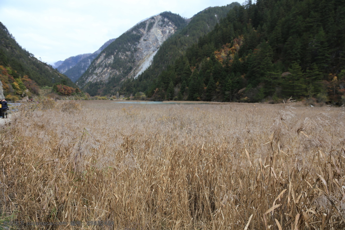 九寨沟风光 九寨沟旅游 四川旅游 四川风景 四川美景 山水 风光 阿坝州风景 旅游摄影 国内旅游
