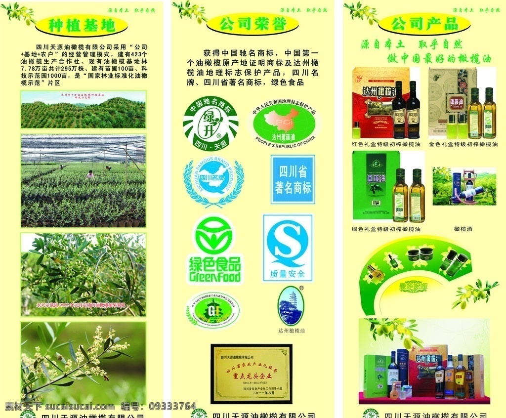 油橄榄 种植 基地 油橄榄荣誉 绿色食品 四川著名商标 中国驰名商标 达州油橄榄 四川名牌 质量安全 油橄榄产品 油橄榄酒 油橄榄护肤品 油橄榄营养品 油橄榄礼盒 金色 礼盒 红色 绿色 矢量