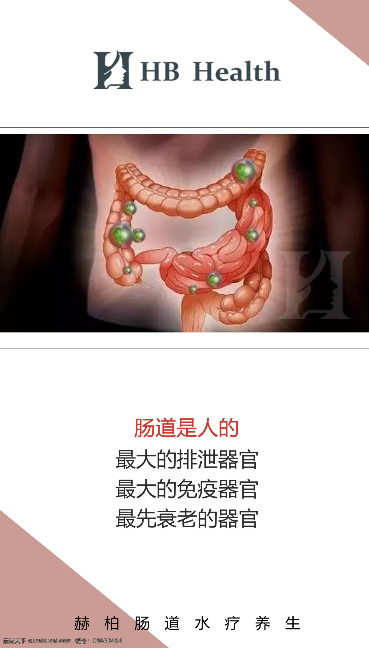 肠道养生 肠道 微生物 色块 标志 艺术字