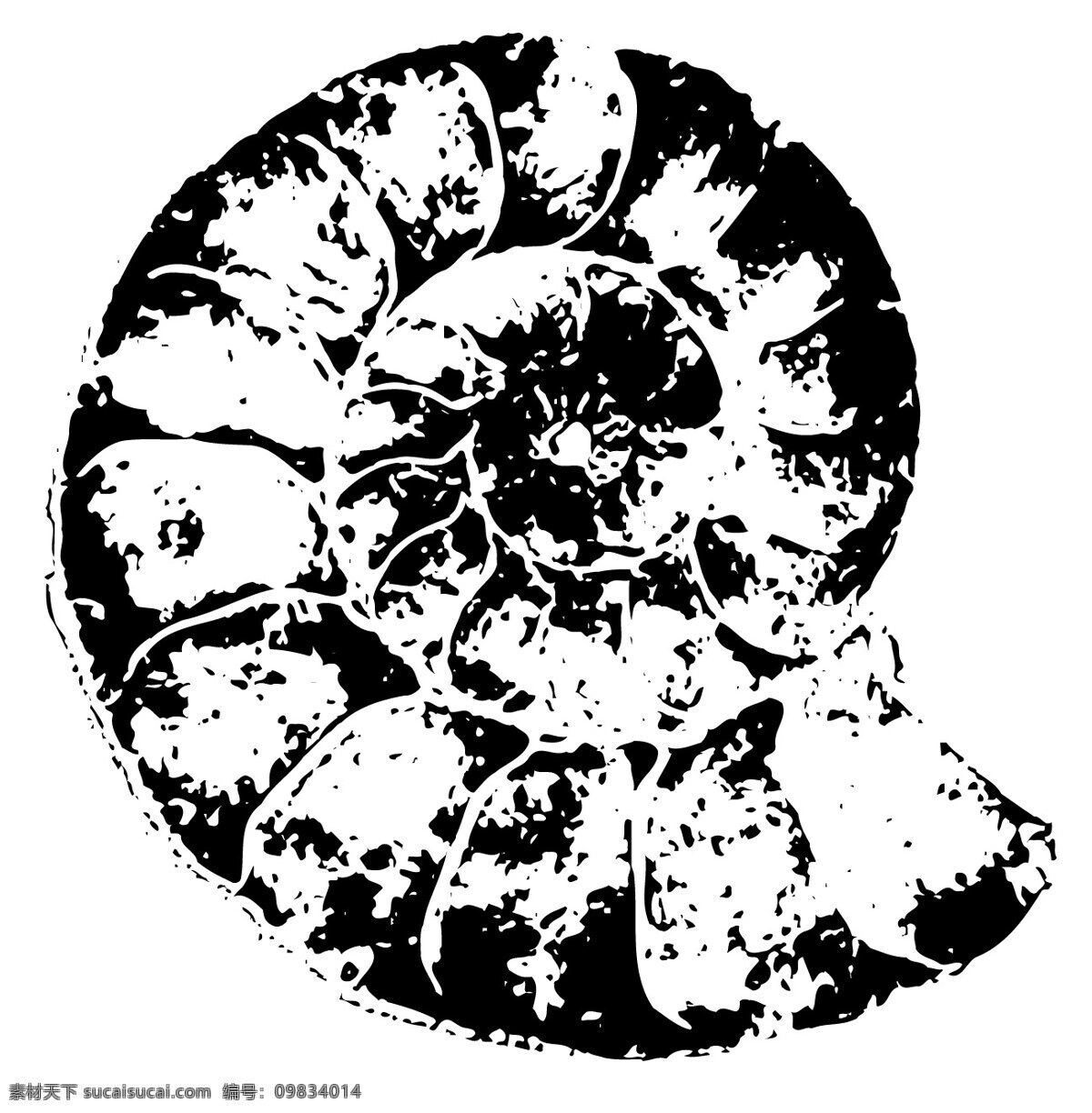 全球 首席 大百科 笔刷 古币 黑白 花纹 价值 钱币 水墨 图案 图纹 拓印 硬币 文化艺术