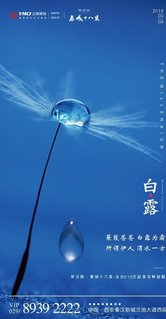 24节气白露 白露 24节气 地产微信 大气 微信单页