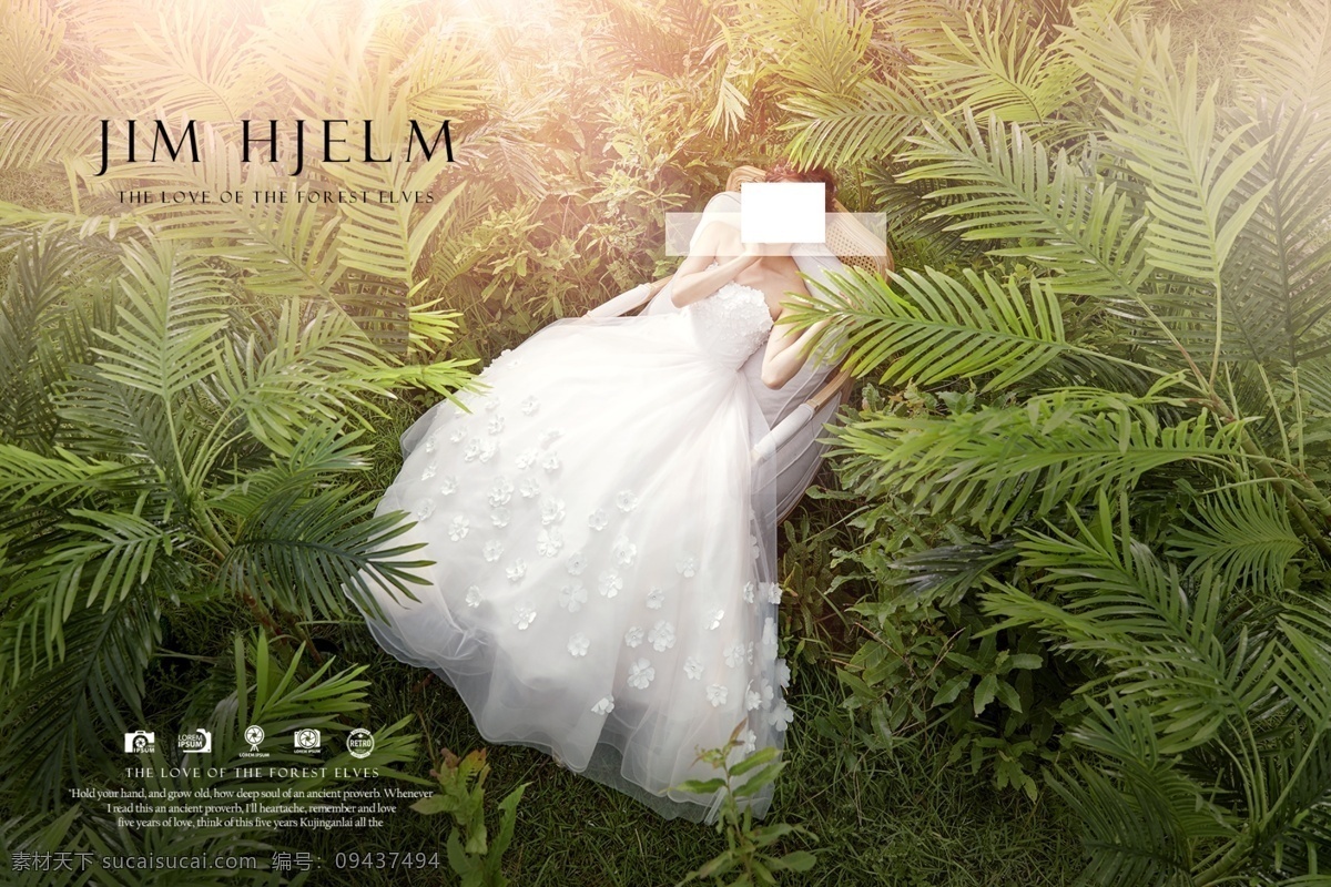 婚纱照 背景素材 文字设计 背景设计 文字图层 植物背景 分层