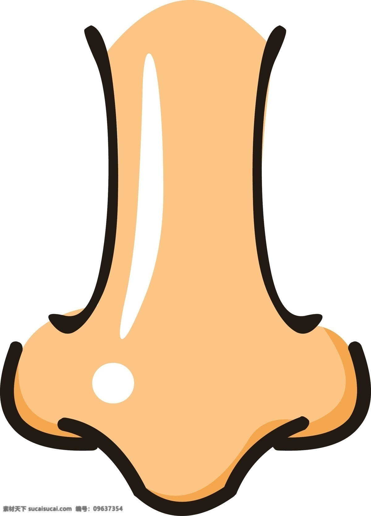 手绘 人体 器官 鼻子 肌肉 结构 器官结构 手绘器官 人体器官 矢量器官 人体五官 鼻结构 器官图 五官 眼耳口鼻 脏器 卡通器官