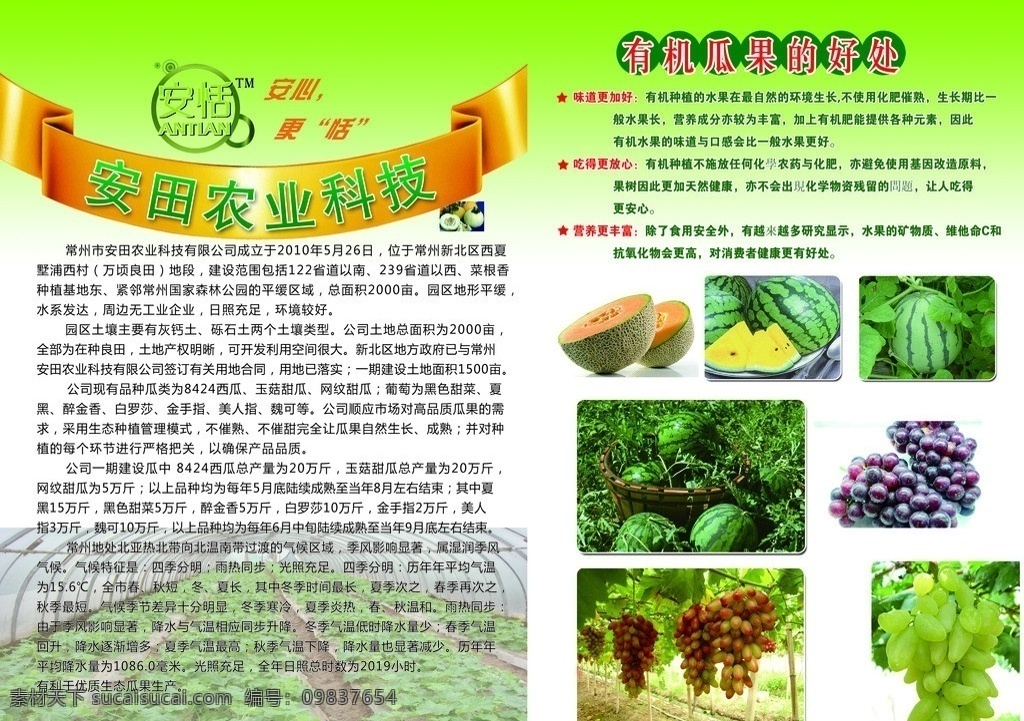 水果 蔬菜 类 农业科技 单 页 绿色食品 画册设计 广告设计模板 源文件