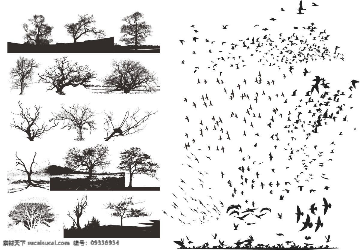 矢量树和飞鸟 树 飞鸟 鸟群 写意风格 白色