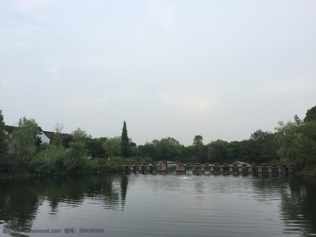 松树 湖水 拱桥 杭州 西溪湿地 旅游摄影 国内旅游