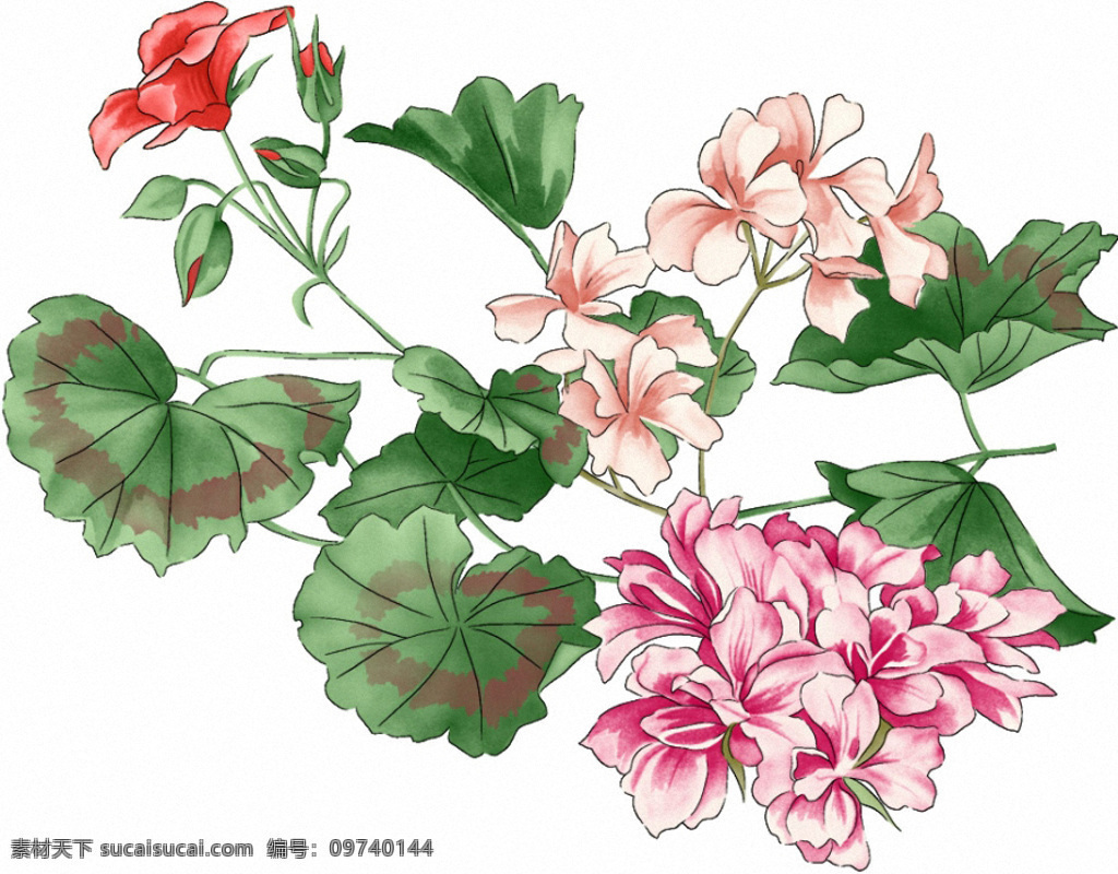 位图免费下载 服装图案 花卉 时尚休闲女装 位图 植物 成熟优雅女装 面料图库 服装设计 图案花型