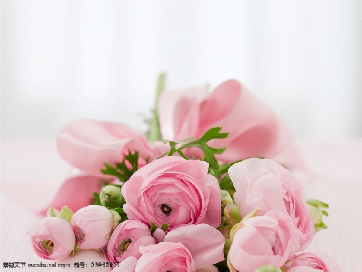 一束粉色玫瑰 玫瑰 祝贺 浪漫 花 粉色 爱情 友情 爱 礼物 节 日子 生活百科 生活素材