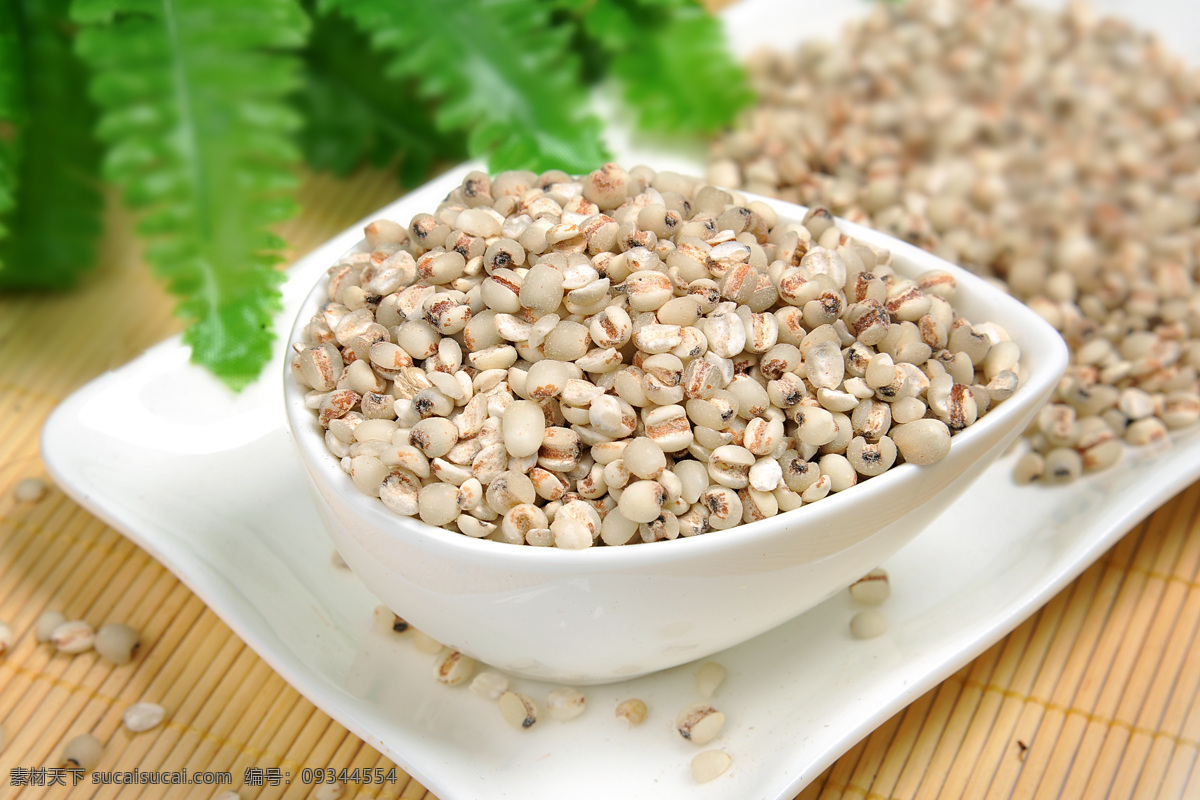 薏仁米 薏仁粉 薏仁米摄影 薏仁 薏仁米原料 食物原料 餐饮美食