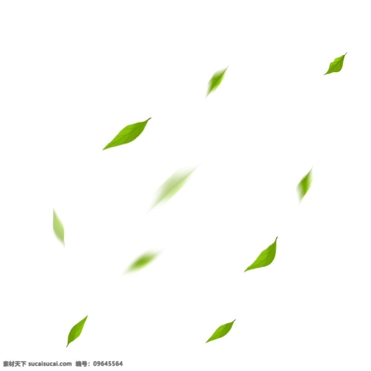 飞舞 漂浮树叶 树木 树叶 叶子 飞舞绿叶 装饰绿叶 茶叶 清新 小清新 落叶 地球日 世界地球日 保护环境 树叶装饰 绿叶装饰