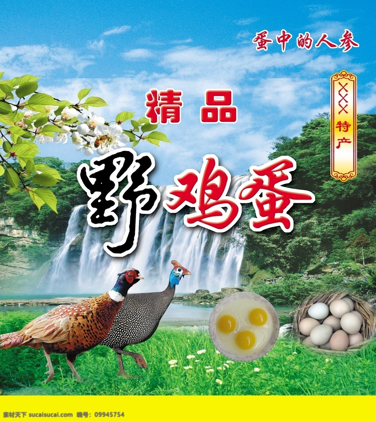 野鸡蛋包装 草地 鸡蛋黄 野鸡 野鸡蛋 瀑布 树林 花朵 鸡蛋包装 包装设计 广告设计模板 源文件