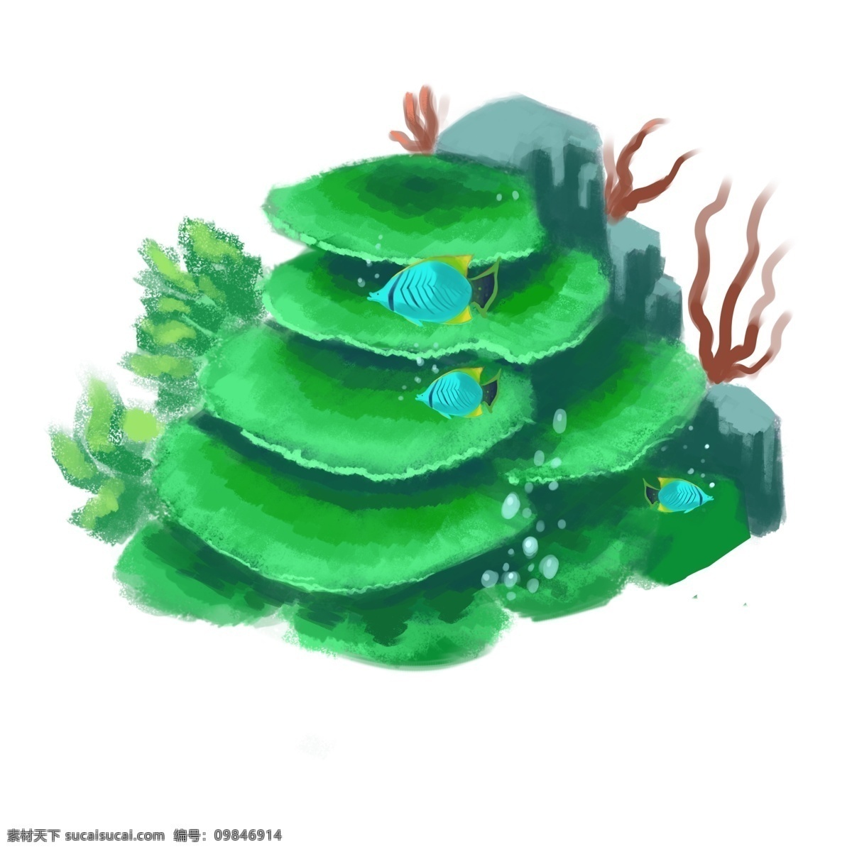 叶 板 珊瑚 三条 小鱼 绿色珊瑚 海生动植物 海底世界
