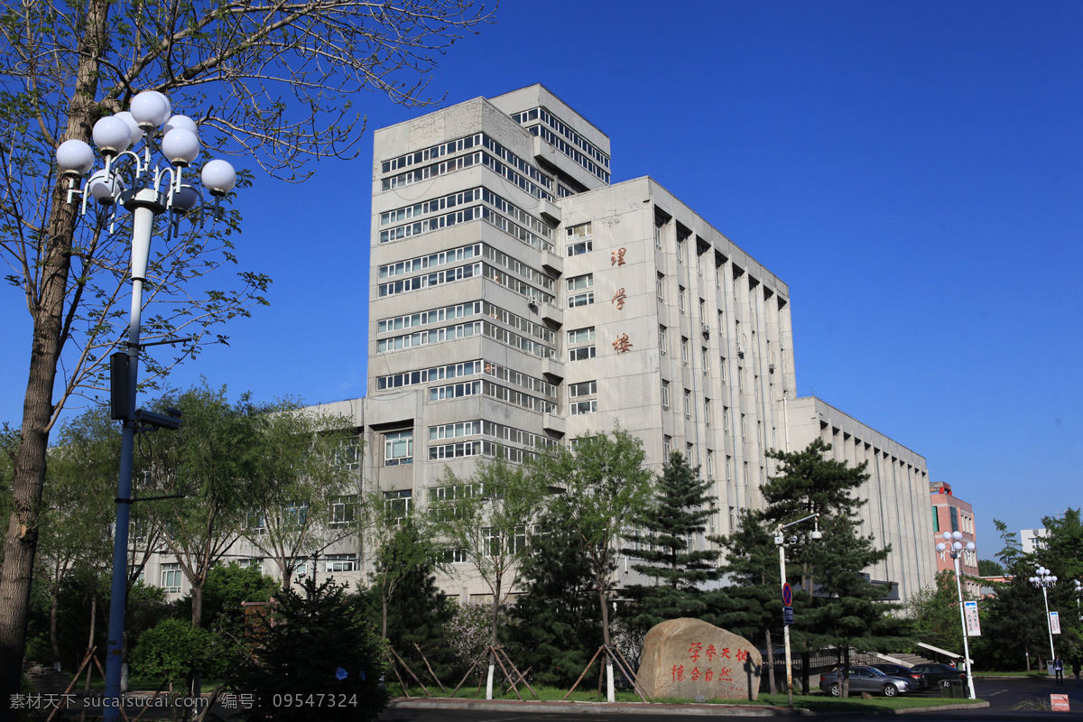 黑龙江 哈尔滨 东北林业大学 风景