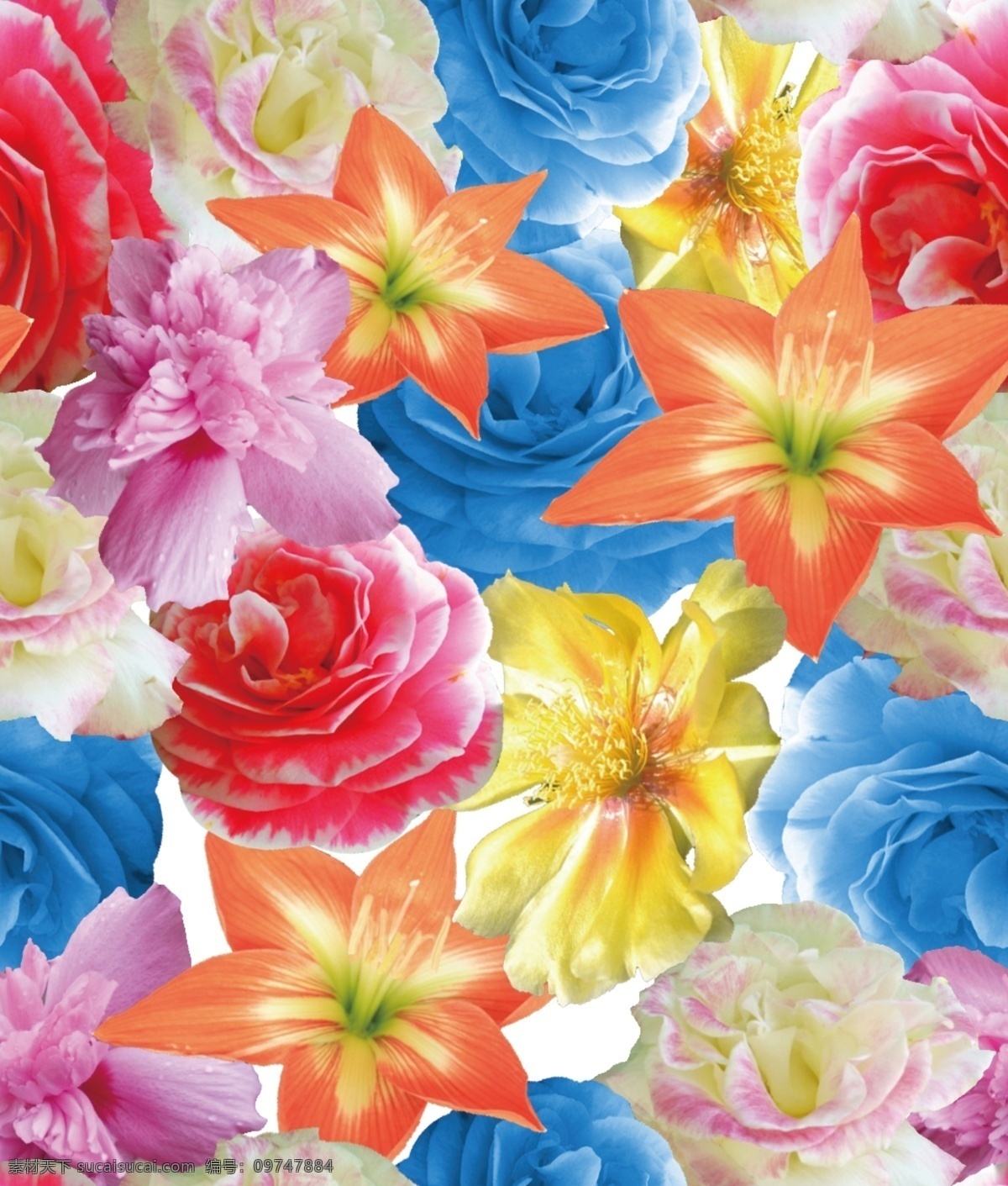 彩色大花朵 印花 牡丹花 循环花 素材设计 photoshop psd层素材 分层素材 作品 分层