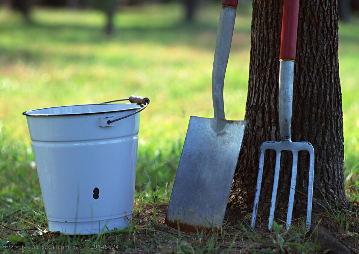 草地 上 水桶 铁锹 提水桶 园林绿化 劳作 大树 树干 生活百科 生活素材