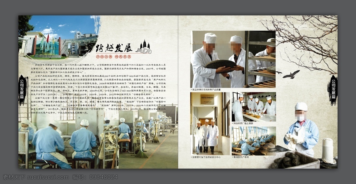 沱茶定稿 沱茶 茶叶基地 科学 合理 复古 白色