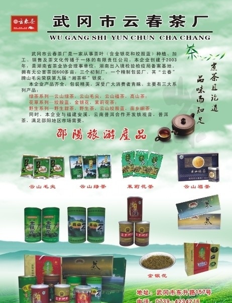 云春茶厂 茶厂 金银花 绞股蓝 绿茶系列 野生茶 高山茶 茶 云山毛尖 茶具 茶厂画册 画册设计 矢量