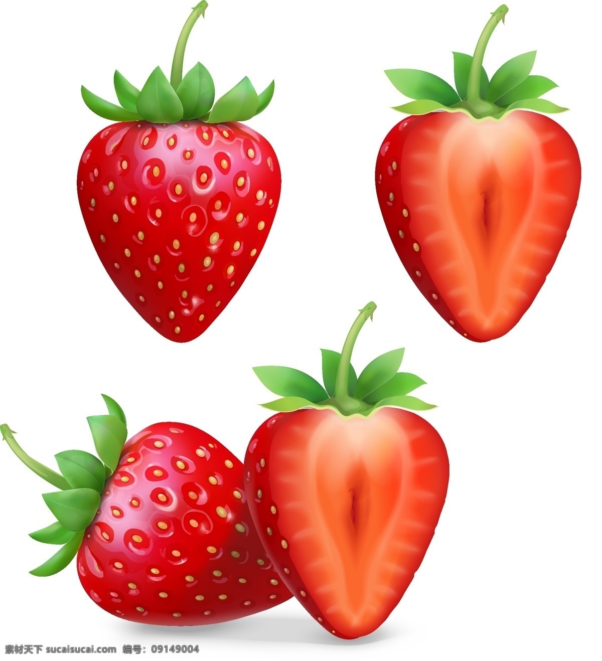 手绘草莓 写真草莓 矢量草莓 红草莓 草莓素材 水果 各类素材