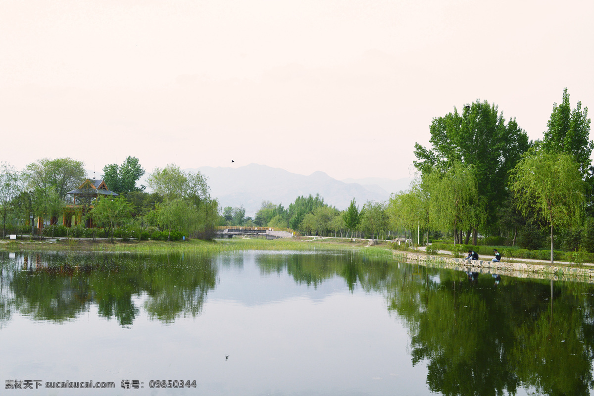 扎达 盖 公园 一角 春天 风景 树 湖水 倒影 照片 自然景观 山水风景