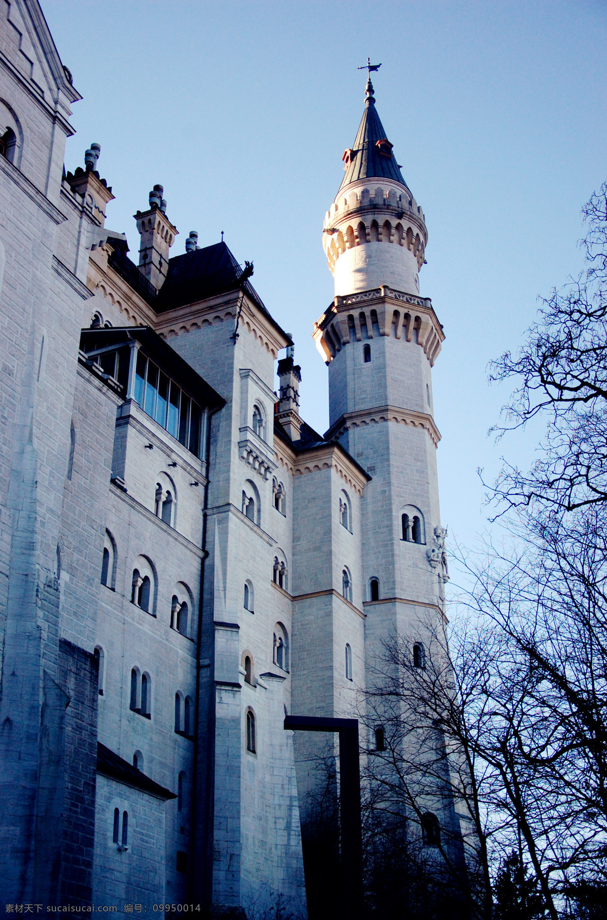 欧洲 德国 巴伐利亚 新天鹅堡 城堡 旅游摄影 国外旅游