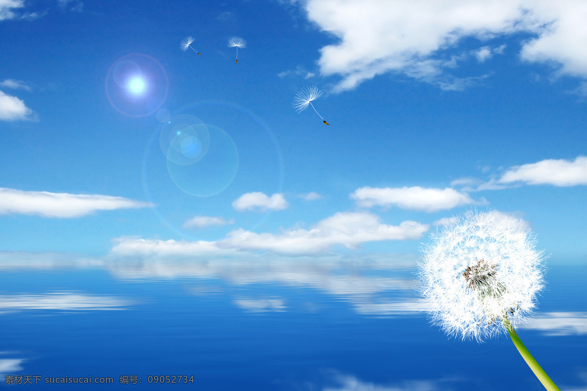 3d 高清 蓝天 白云 蒲公英 背景 墙 背景墙 3d渲染 效果图