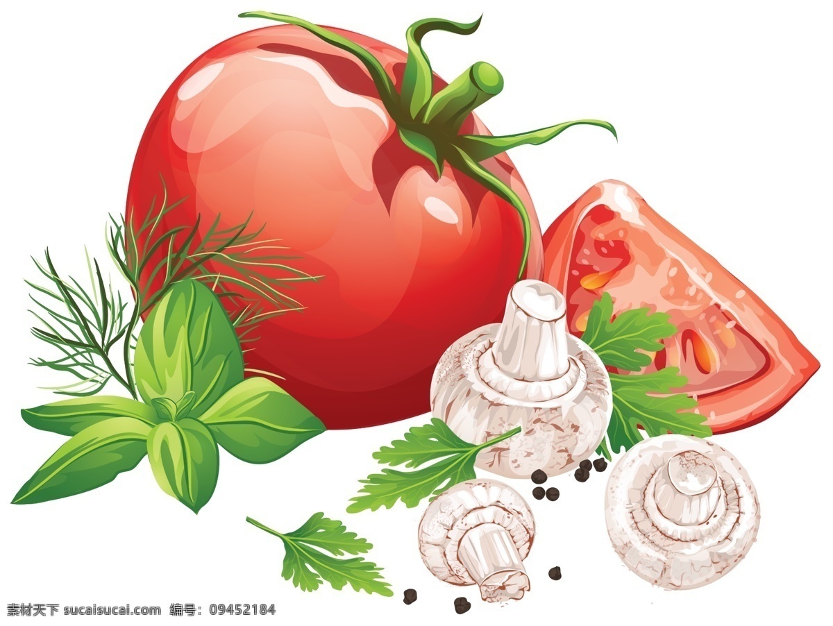 蔬菜 西红柿 番茄 超市蔬菜 蘑菇 餐饮美食 高清 平面设计 手绘 卡通 背景分层 白色背景 分层
