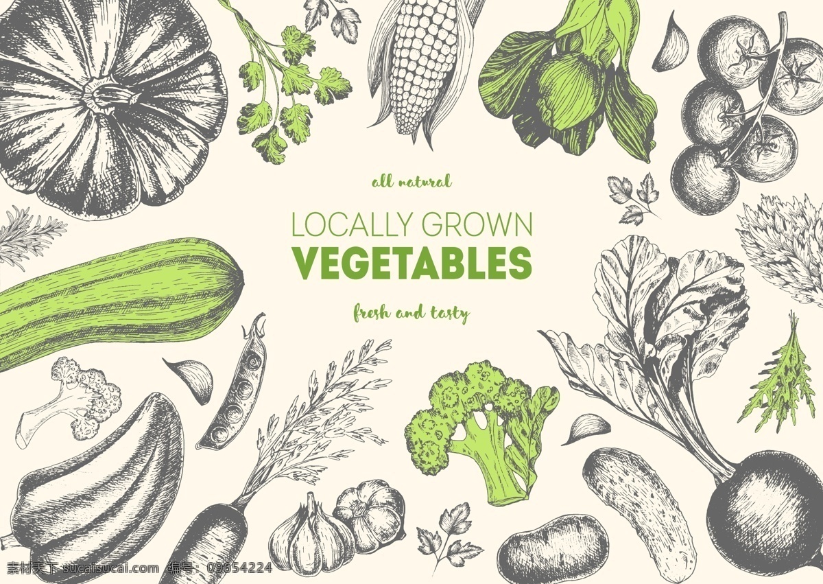 矢量 蔬菜 背景图片 绿色 素描 背景 底纹 底纹边框 背景底纹