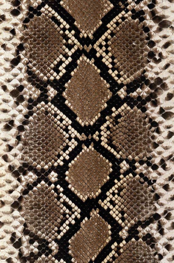 地毯 贴图 毯 类 地毯素材 地毯贴图 地毯3d贴图 织物贴图 织物 3d 3d模型素材 材质贴图