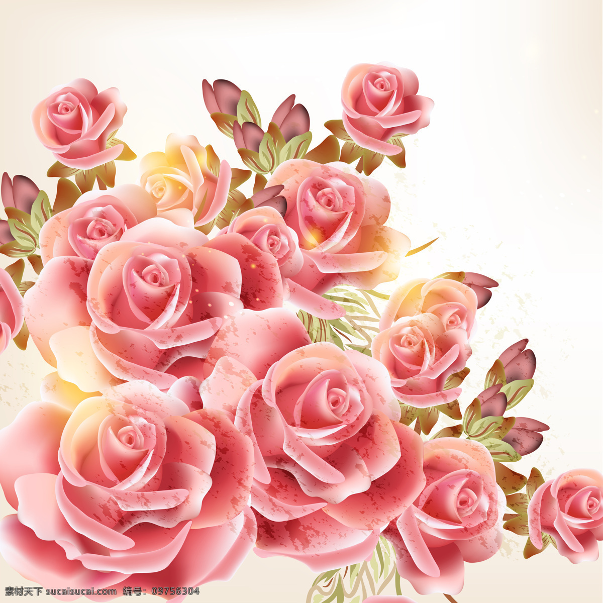 浪漫 玫瑰 矢量 花卉 背景 anmin 白色