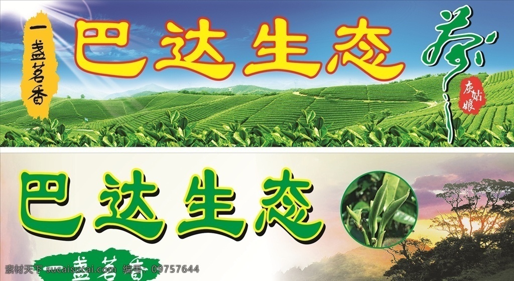 茶广告 茶 广告牌 茶叶 招牌 生态