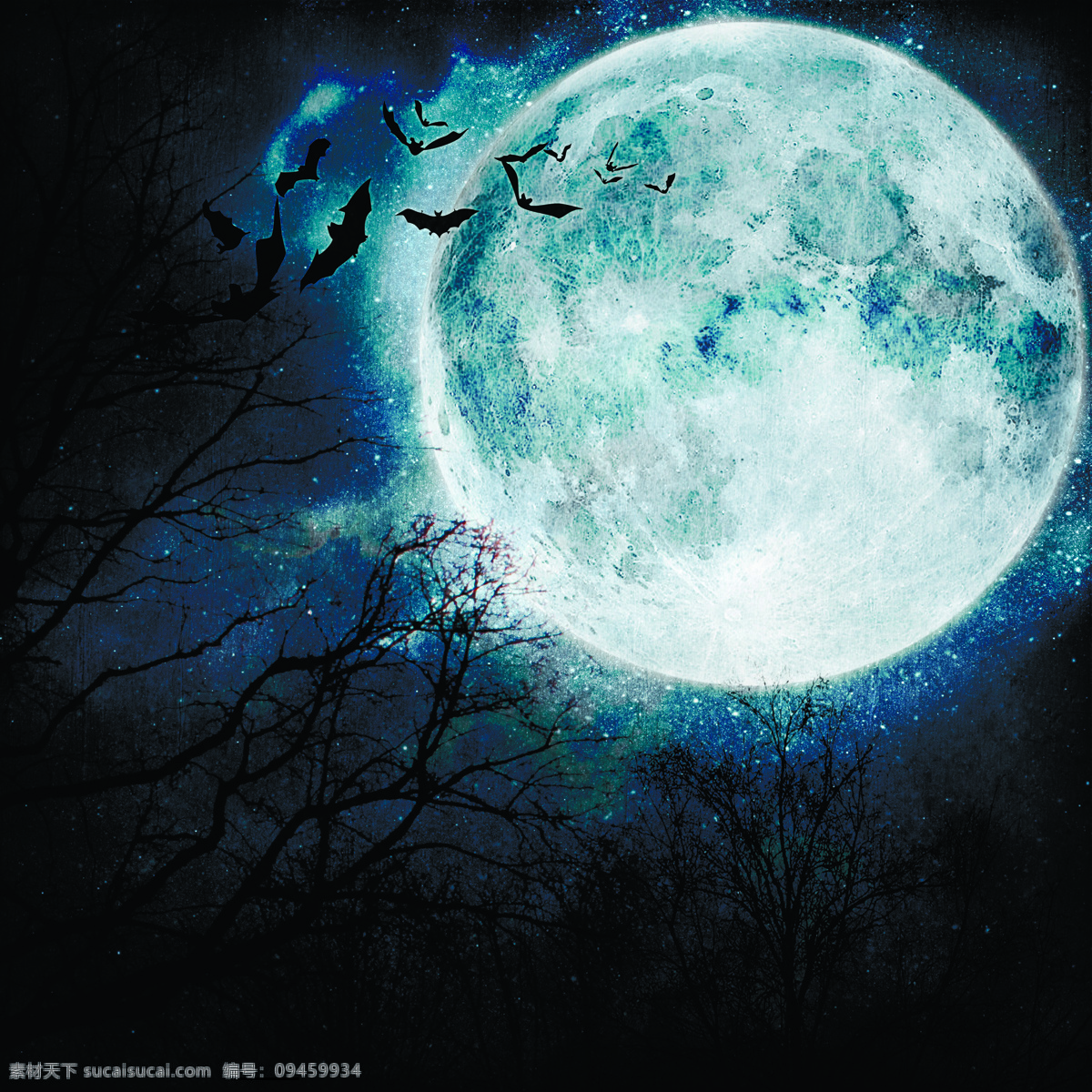 夜晚 月亮 蝙蝠 天空 树 其他类别 生活百科 黑色