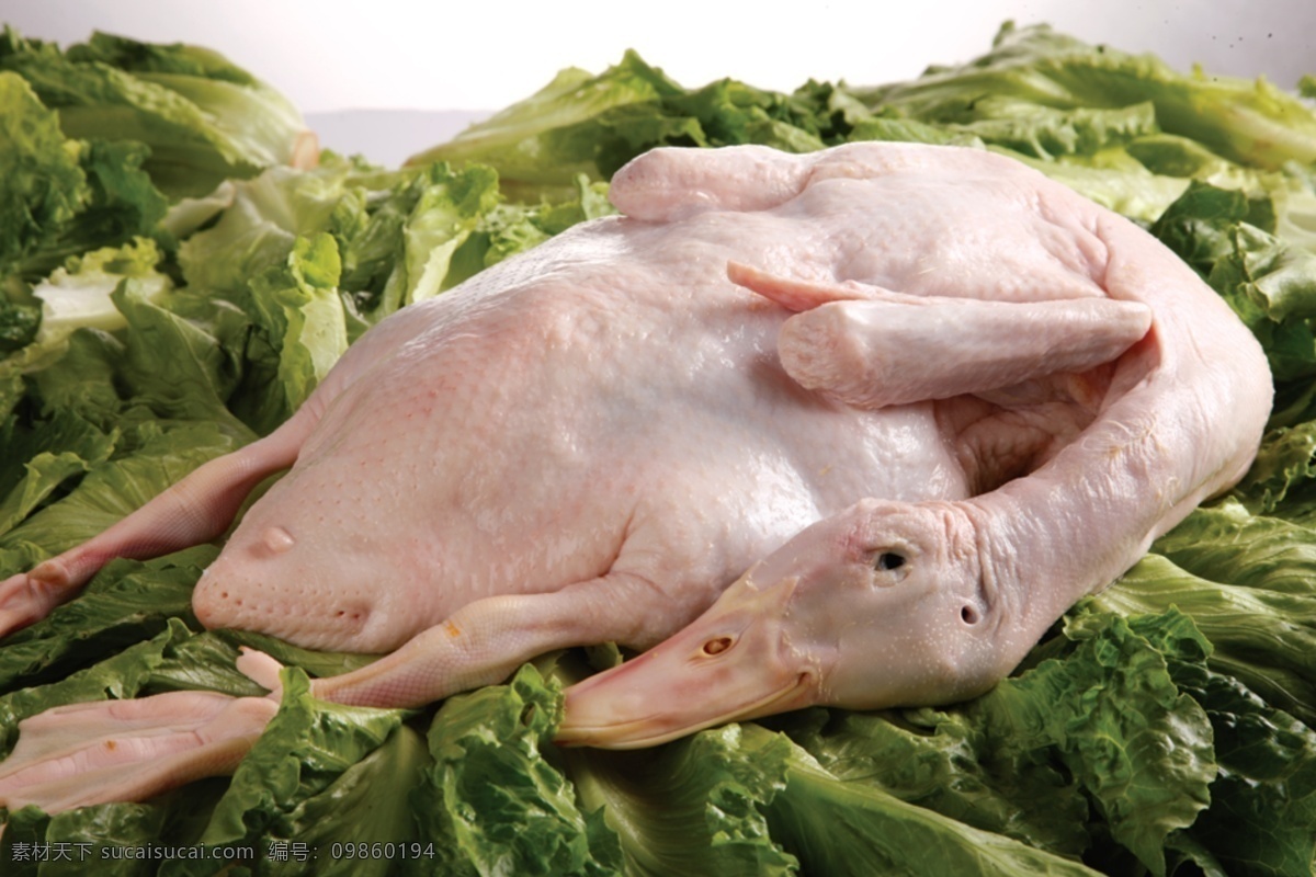 白光鸭图片 光鸭 三鸟 鸡 鸭 禽 肉类 熟食 蔬菜 杂粮 商超传单 海报 生鲜 分层