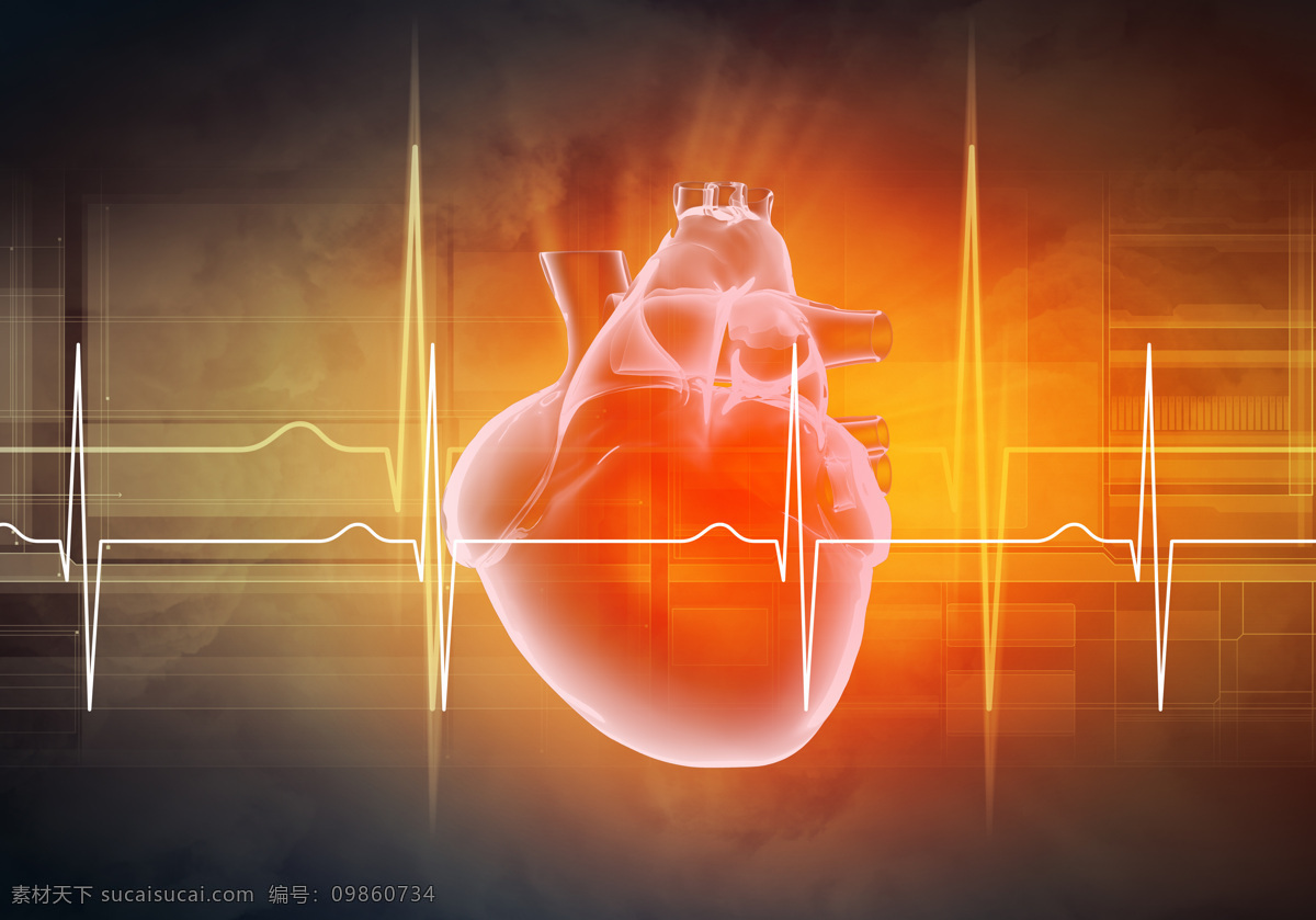 跳动 心脏 人类心脏 跳动的 虚拟 图像 心 波动 心动 生物世界