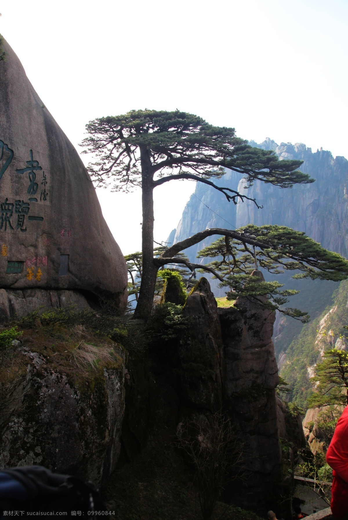 黄山迎客松 黄山 自然风光 景色 大好河山 奇峰 怪石 晴空万里 蓝天白云 壮阔 大气 松树 旅游 奇石 怪松 安徽黄山 黄山风景 安徽风景 安徽风光 黄山风光 黄山美景 徽州之旅 风景名胜摄影 自然景观 旅游摄影 国内旅游