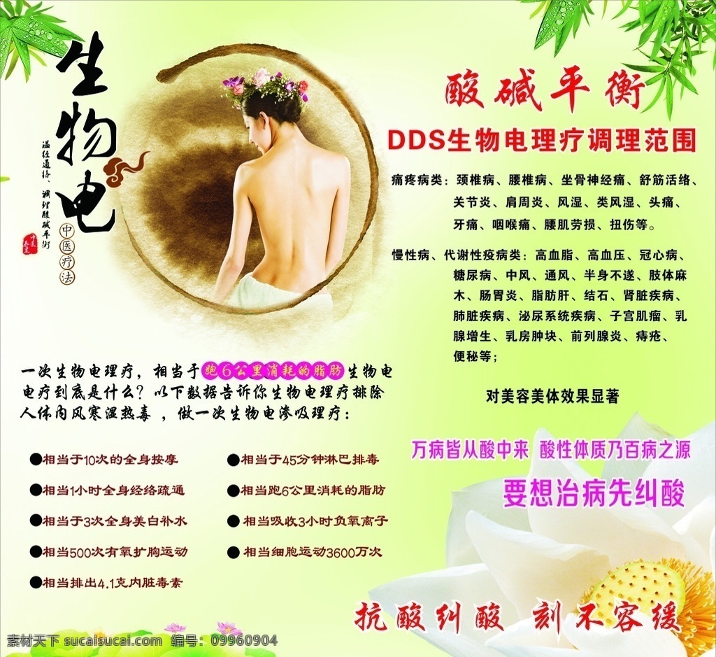 dds生物电 酸碱平衡 生物电理疗 美容美女 背景 绿色背景 广告