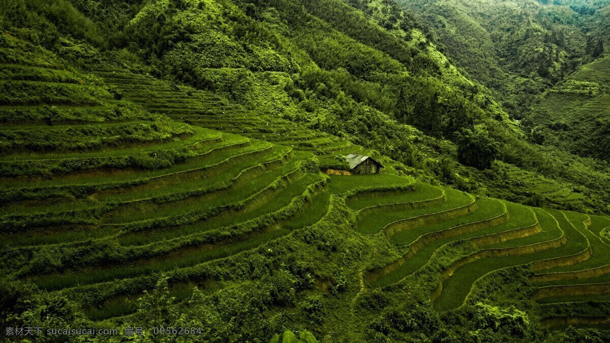 自然景观 自然风光 风景图片 风景素材 风景壁纸 素材壁纸 大自然 田野 梯田 田野风景 田野图片 梯田图片 绿色植物 植物图片 植物素材 唯美图片 唯美素材 唯美壁纸 自然风景 植物 景观