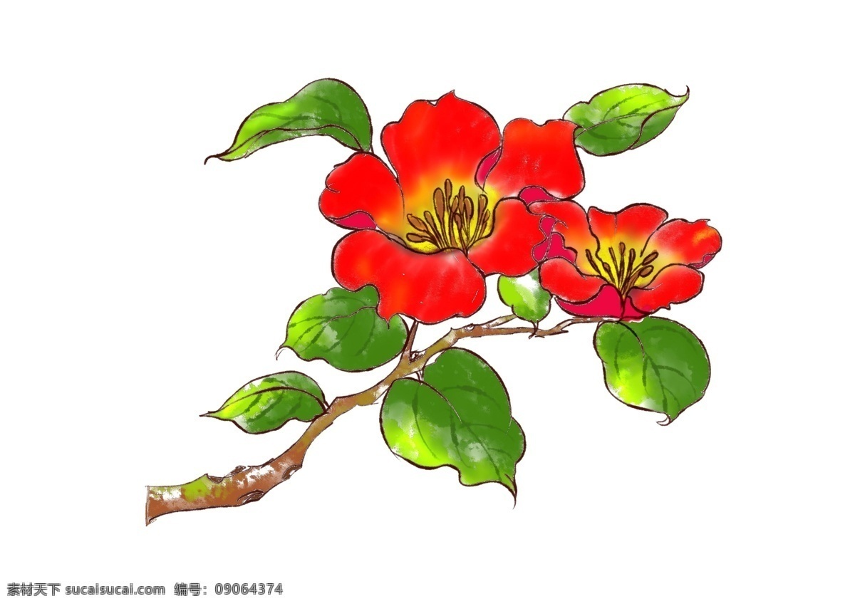 水彩 美丽 山茶花 插画 花朵插画 红色花瓣 赏花 十大名花 茶花 山茶树 花卉 植物插画 盛开的鲜花 花木