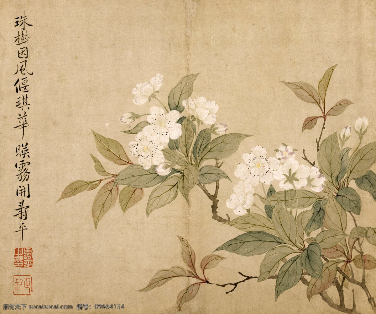 梨花 国画 花卉图冊 传统 花鸟 绘画书法 文化艺术