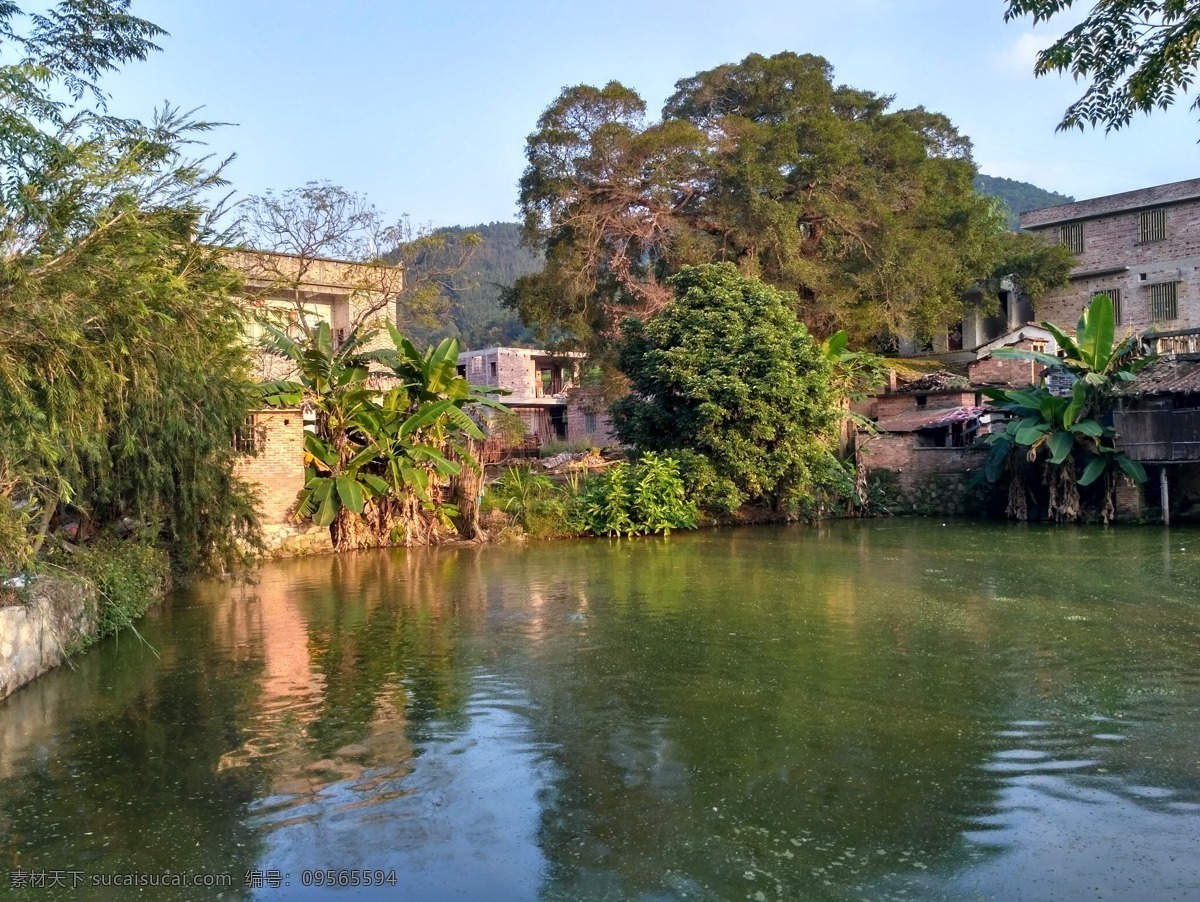 乡村鱼塘 乡村 农村 池塘 大树 瓦房 泥砖屋 蓝天 自然景观 田园风光