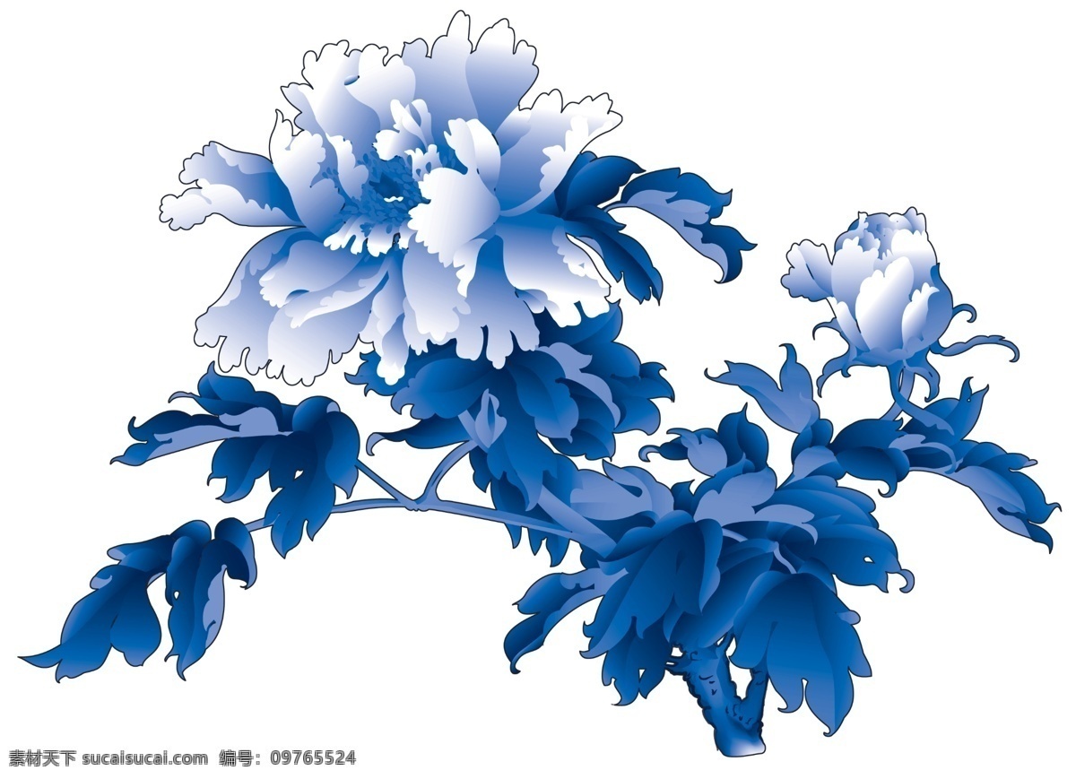 青花瓷 牡丹 花纹 牡丹花纹 青花花纹 国画花纹