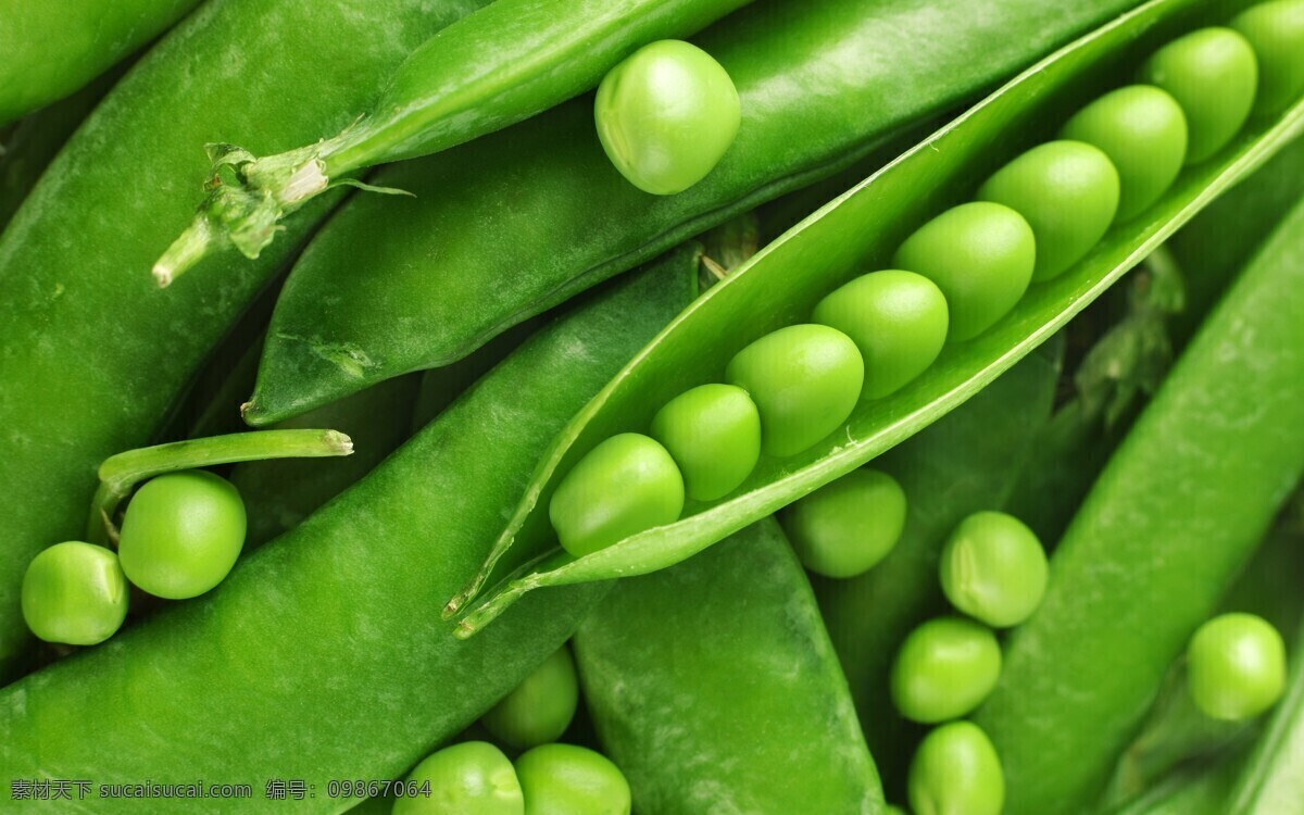 豌豆 生物世界 蔬菜 水果 新鲜水果 植物果实 fruit 风景 生活 旅游餐饮