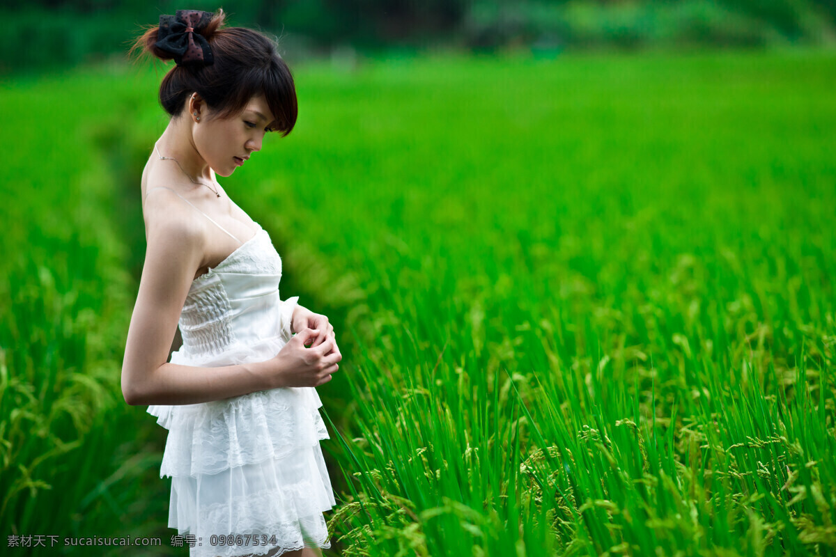 穿 白色 婚纱 美女 站 稻田 旁 站在稻田旁 绿色 外景 成熟 女性女人 人物图库