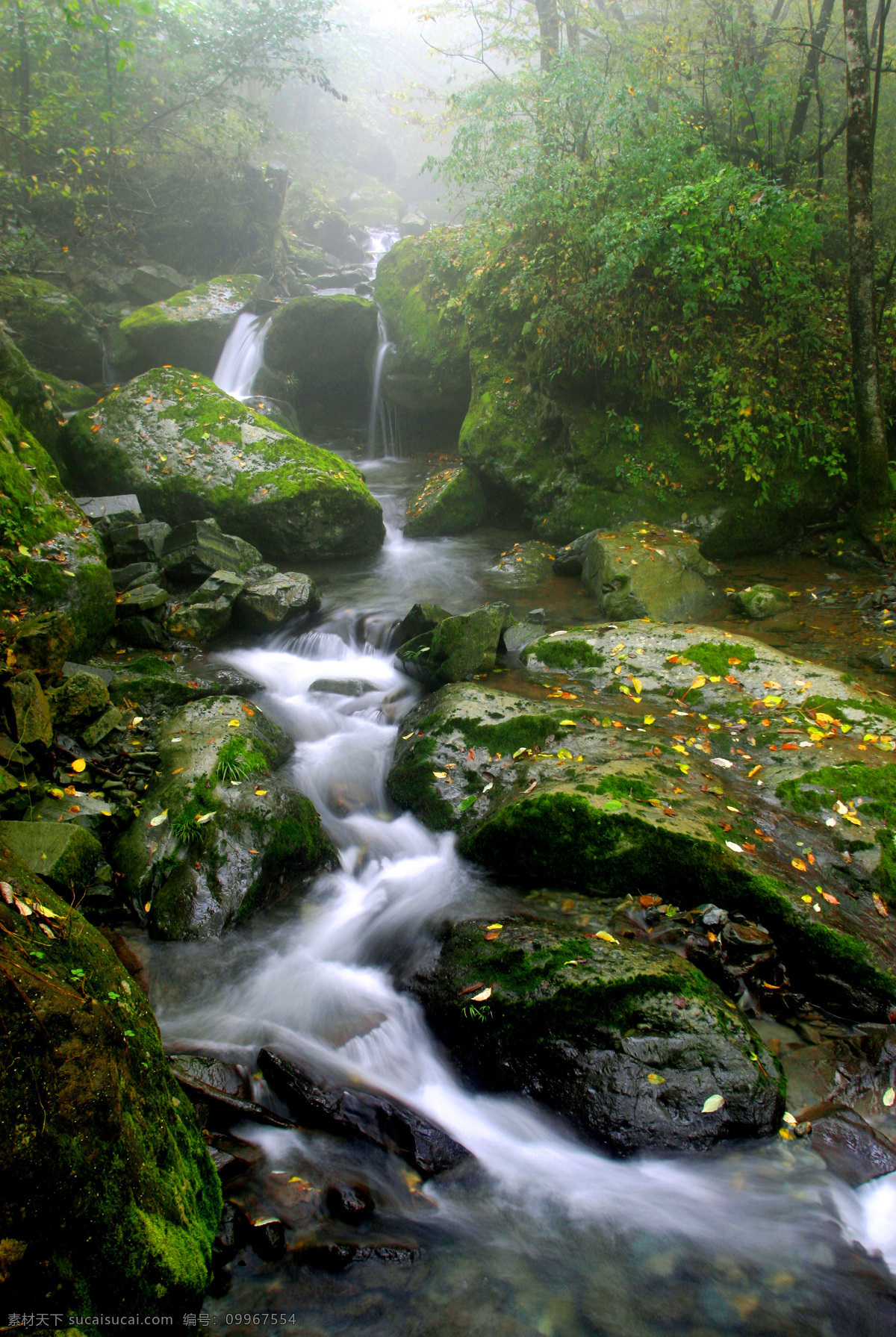 千层河 溪流 流水 山中溪水 瀑布 绿色苔藓 绿色 树木 森林 意境 旅游摄影 国内旅游