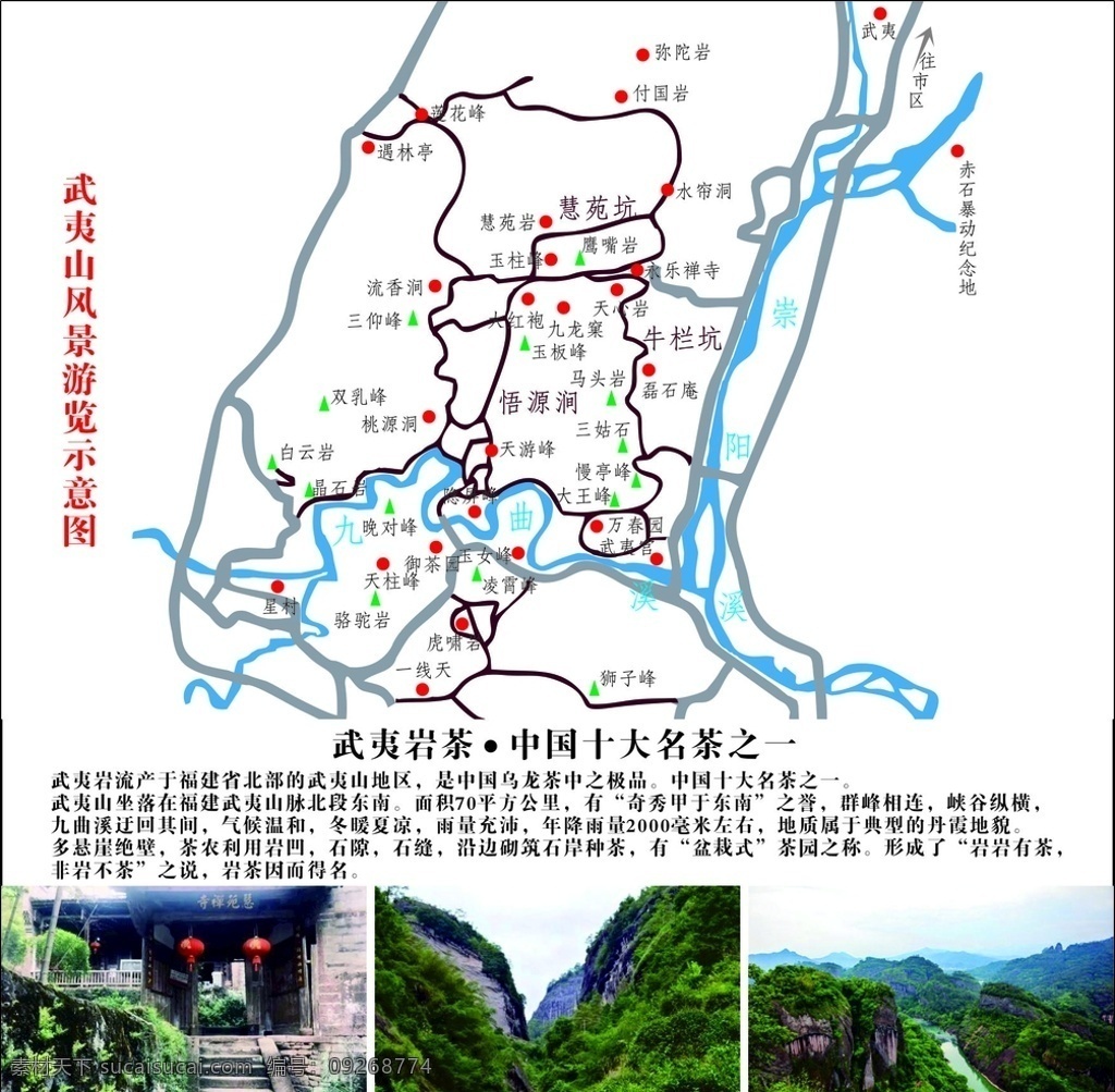 武夷山 正岩 山场 双乳峰 岩茶 大红袍 茶叶 牛栏坑 慧苑坑 悟源涧 九曲溪 大王峰 一线天 桃源洞 橱窗广告 室外广告设计